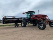 Image for article New 2021 MacDon M155E4 Windrower