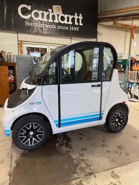 Main image for Used 2018 Polaris GEM Car