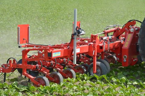 Main image for New Einbock Chopstar 12R30 Row Crop Cultivator