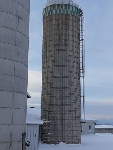 Main image for Used Co-op Implements silo 18x65 Attachment