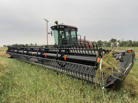 Main image for Used 2009 MacDon M100 Windrower