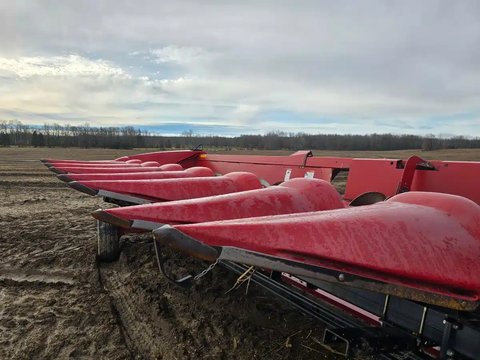 Main image for Used 2013 Case IH 3412 Header - Row Crop