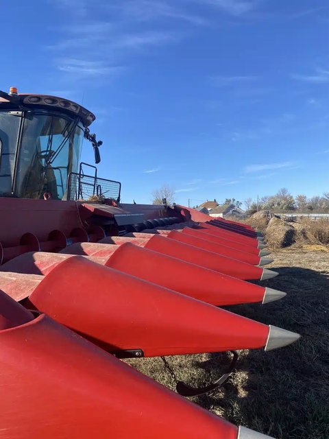 Main image for Used 2021 Case IH 4412 Header - Row Crop