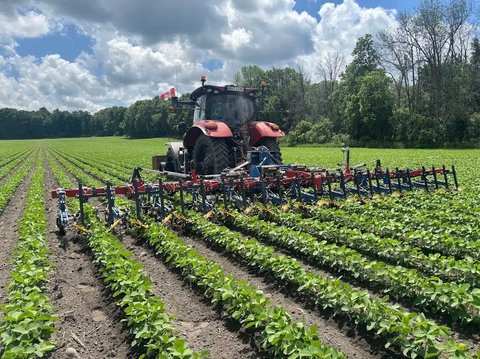 Main image for Used 2022 Hatzenbichler 12R30 Row Crop Cultivator