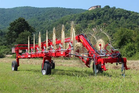 Main image for New 2023 Buhler Easy Rake Rake