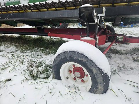 Main image for Used Horst Welding CHC20 Header Cart