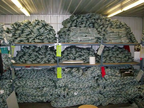 Main image for New Flaman Various Miscellaneous