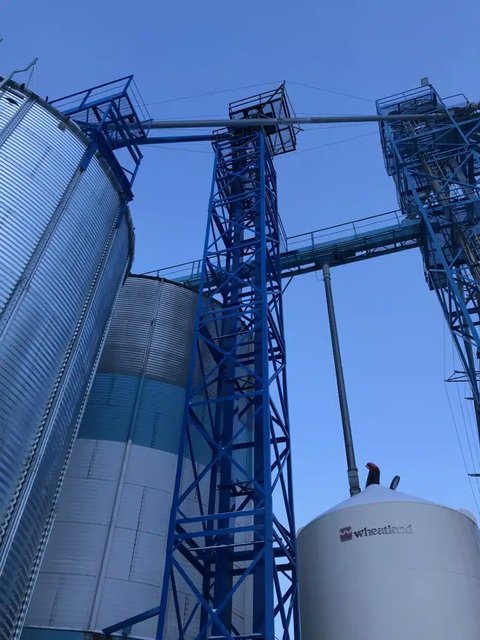 Main image for New Unspecified 1200 Series Grain Dryer