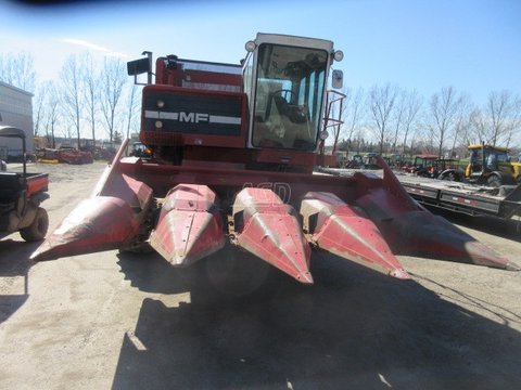 Main image for Used Massey Ferguson 43 Header - Row Crop