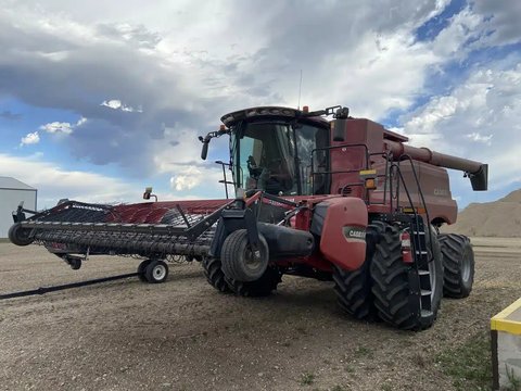 Main image for Used 2020 Case IH 8250 Combine