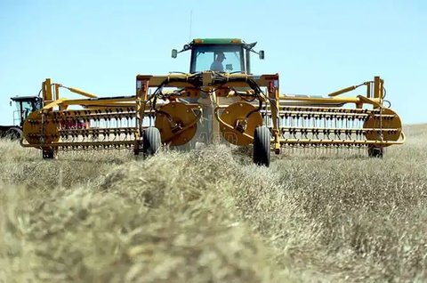 Main image for New 2023 Vermeer R2800 Rake