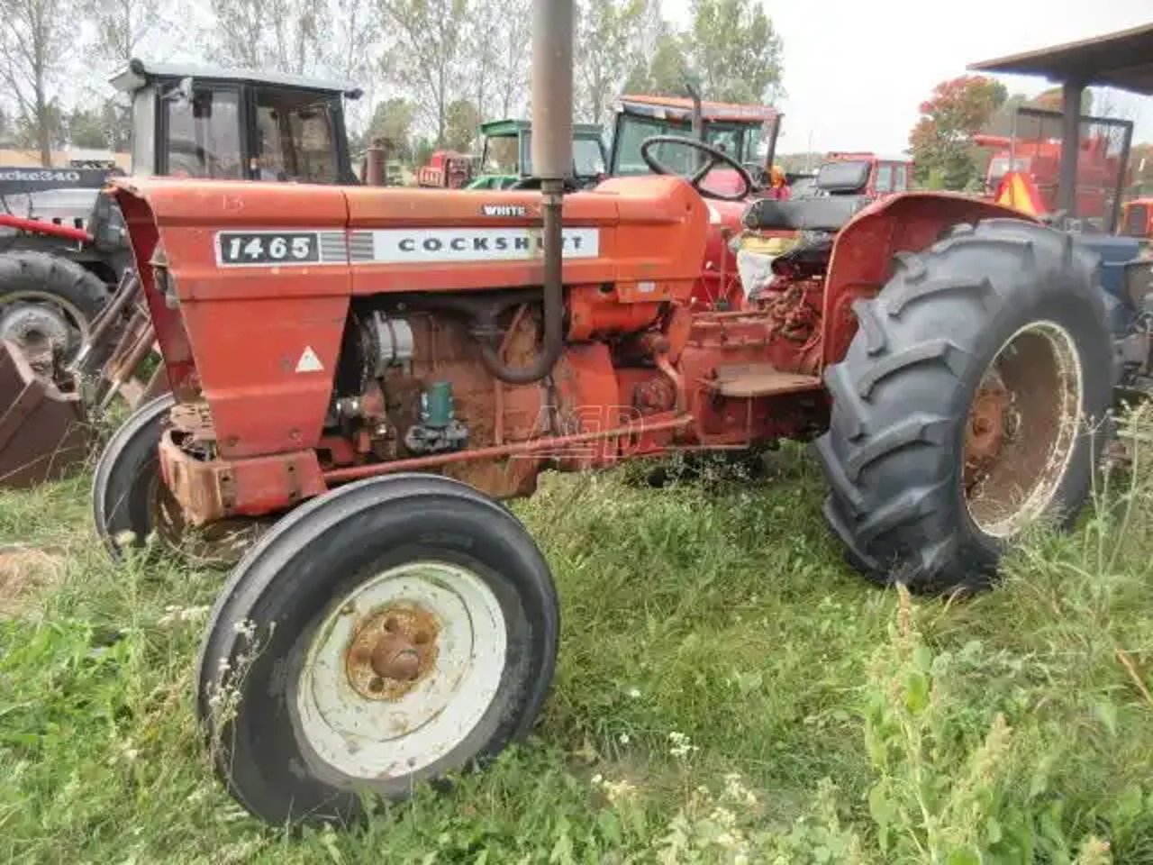 1973 Cockshutt 1465 Tracteur