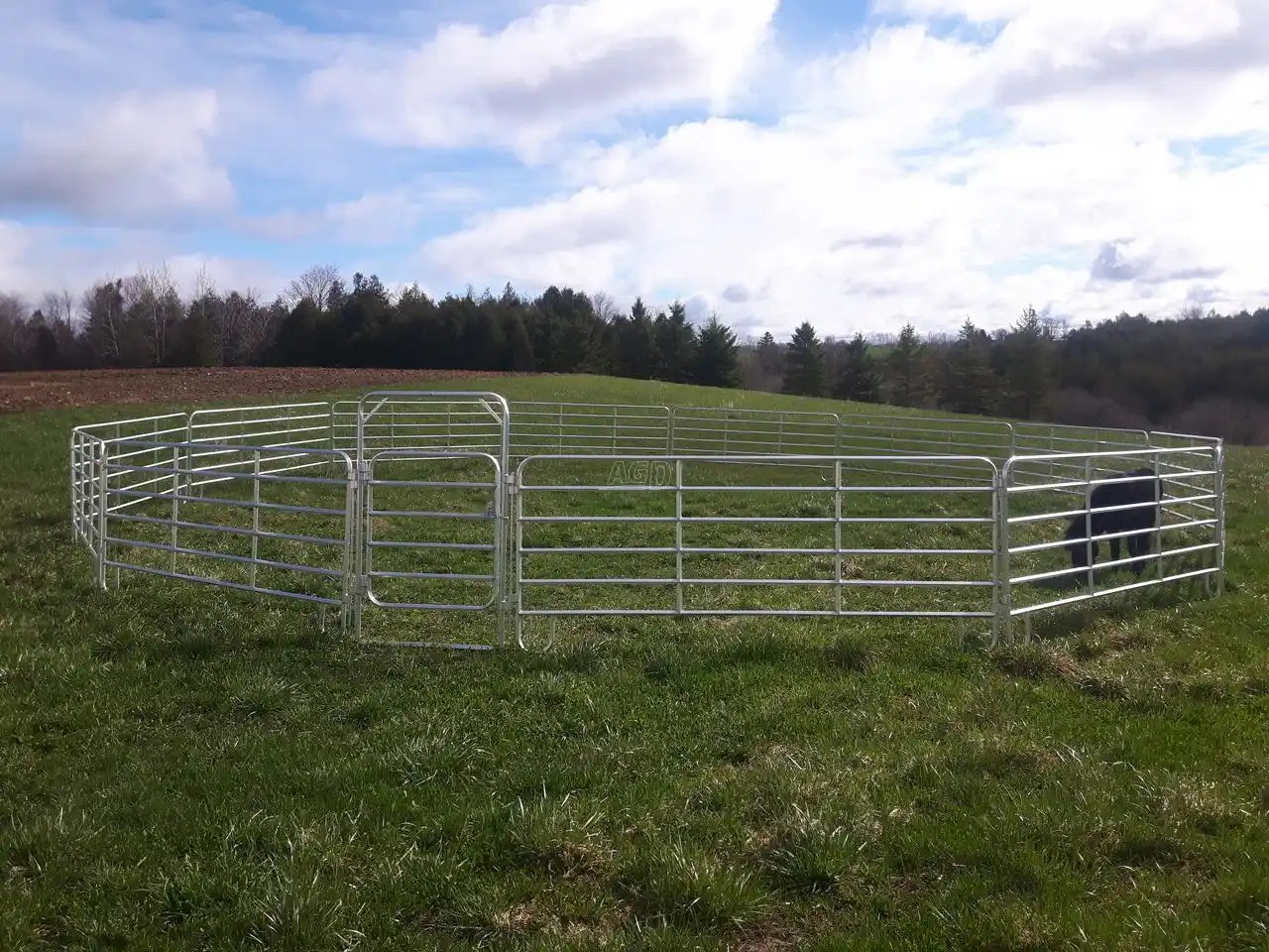 aluminum round pens Équipement pour chevaux