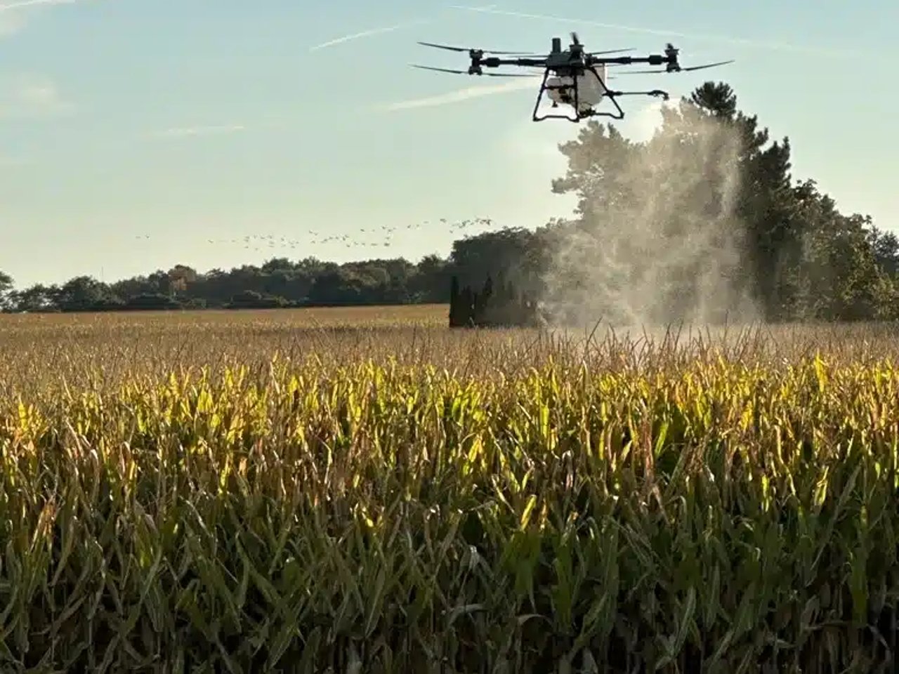 2025 DJI Agras T100 Drone