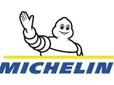 Michelin 395-85R20 Pneus — photo 2