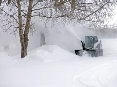 2025 Buhler Farm King HSB8425SF Souffleur à neige — photo 2