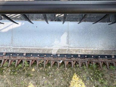 2021 Honey Bee AF245 Header - Flex — photo 2