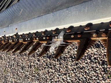 2020 Honey Bee AF50 Header - Flex — photo 2