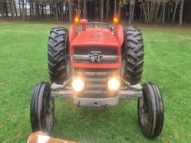 1975 Massey Ferguson 135 UK Tracteur — photo 2