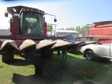 Case IH 1063 Nez - Maïs — photo 2