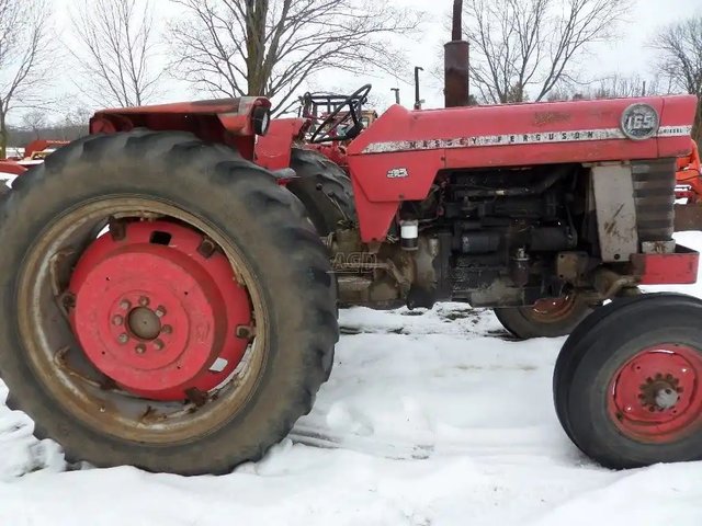 Massey Ferguson 165 Tracteur