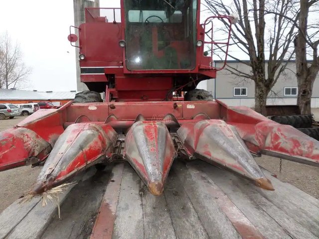 International Harvester 843 Nez - Maïs
