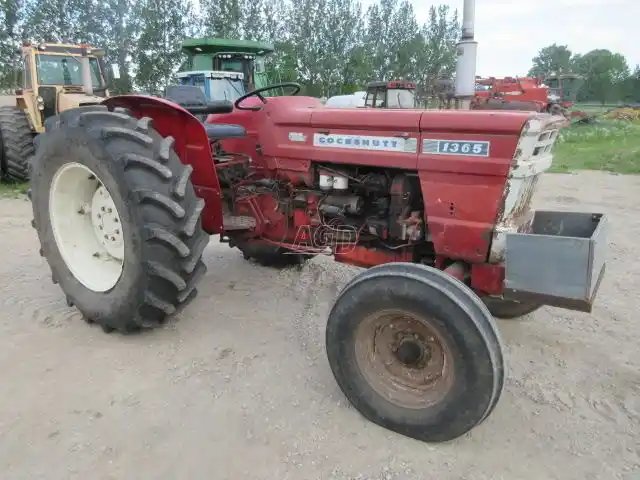 1972 Cockshutt 1365 Tracteur