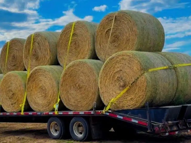 Canada Trailers 8.5X35 15 TON GOOSENECK Remorque - Plateforme