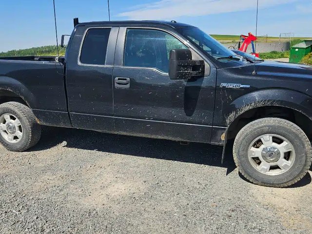 2013 Ford F-150 Camion - pickup