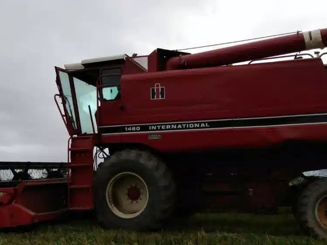 International 1460 Batteuse
