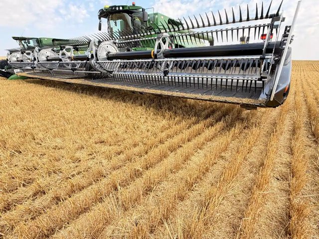 2026 MacDon FD245 Plus Nez - Toile/Tapis