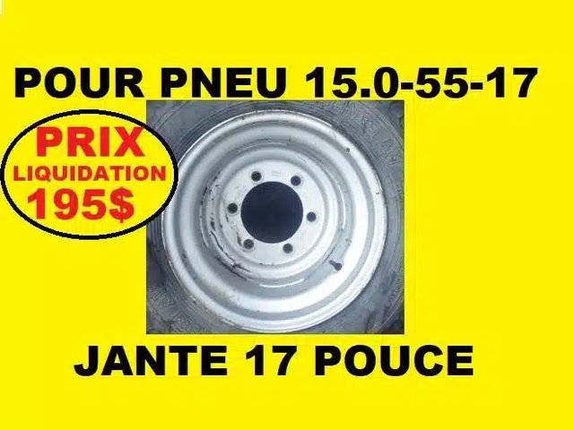 15.0-55-17 Pneus et roues