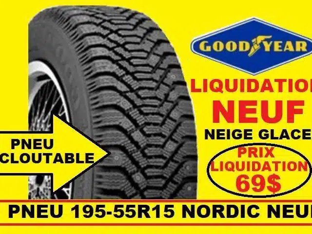 Goodyear 195-55R15 Pneus