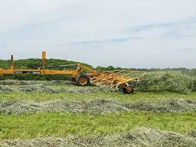 2025 Vermeer TE3310 Faneur