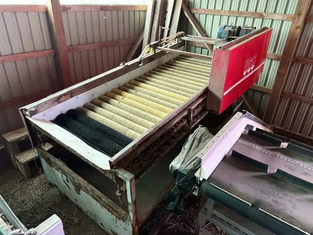 48" Drying Table Équipement pour pommes de terre