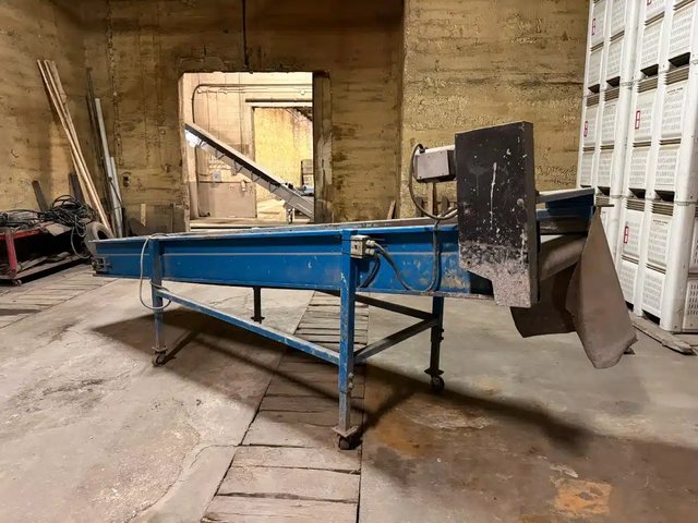 Alliston Machinery 14' Long x 34" Conveyor Équipement pour pommes de terre