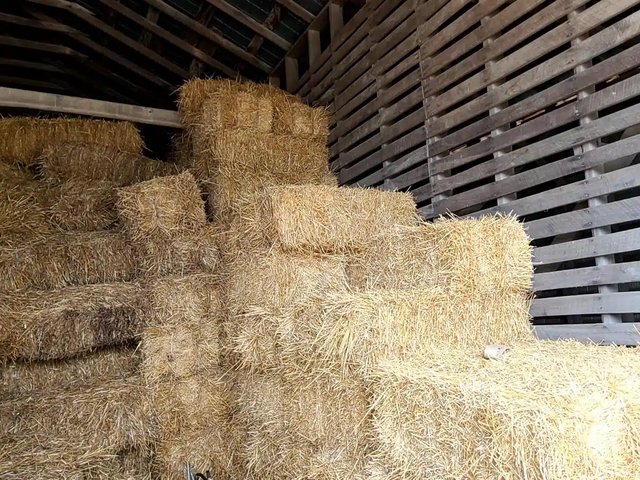 SMALL SQUARE BALES STRAW divers