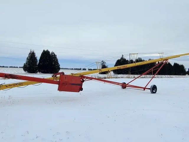 Westfield 8"x71' Vis à grain
