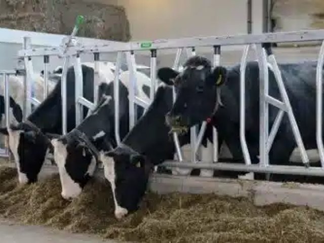 Spinder Stabling Équipement Laitier