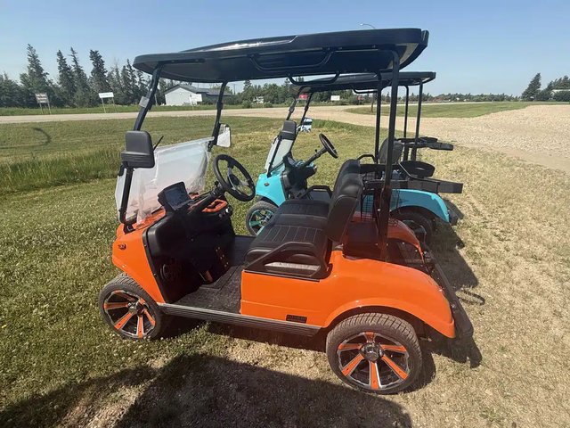 2026 Classic 2 Plus voiture de golf