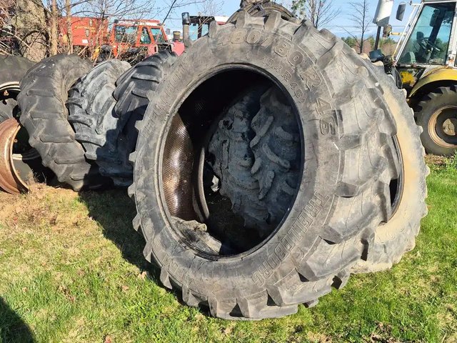 Trelleborg 480/80R46 TM600 Pneus