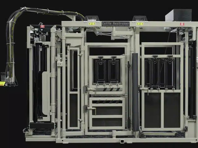 Cowcatcher Restrainer Cattle Chute Cage de contention