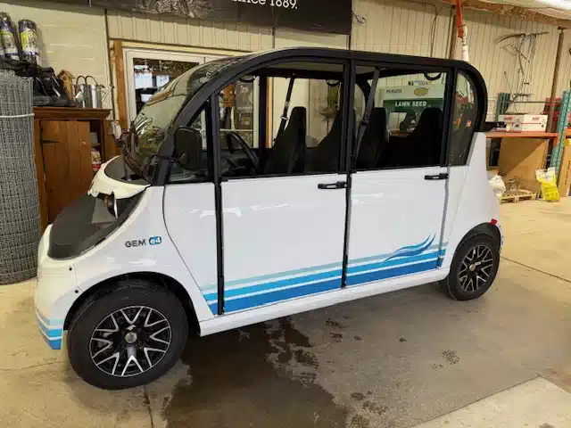 Used 2018 Polaris GEM Car