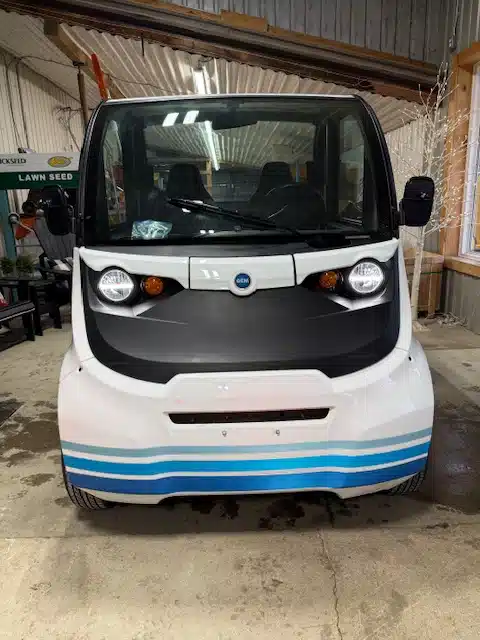 Gallery image 2 for 2018 Polaris GEM Car