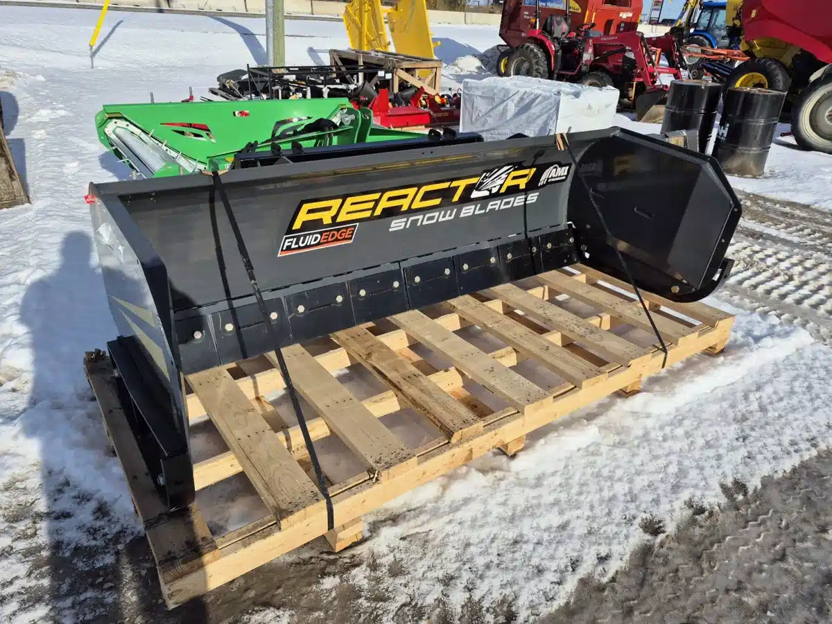 AMI SB308PFESS Snow Blade