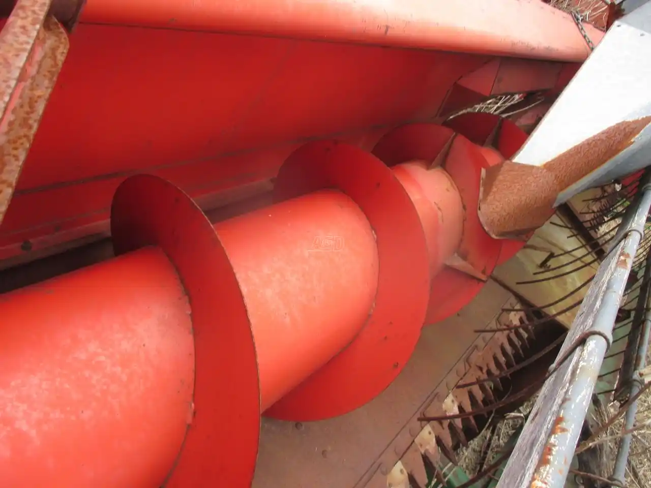 Gallery image 1 for Used Massey Ferguson Rigid Header