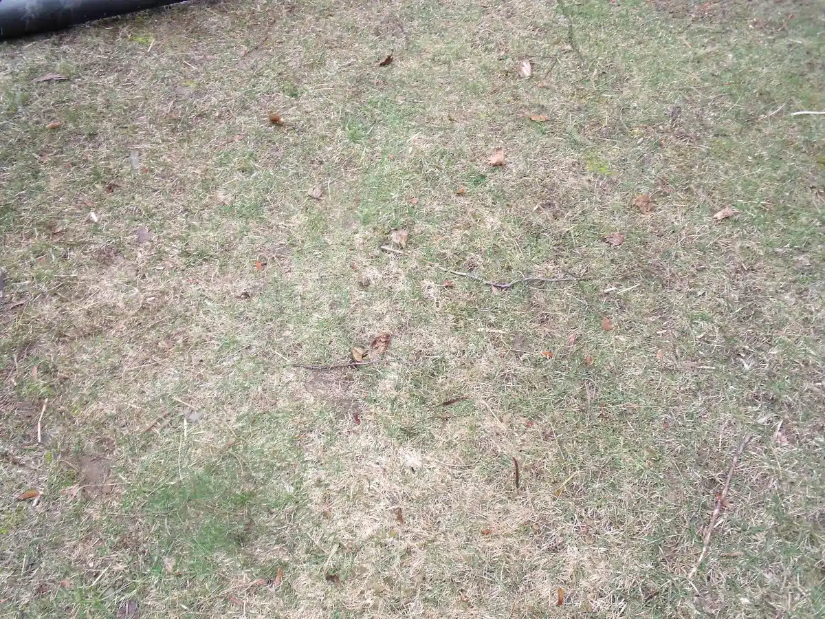 Gallery image 2 for Used New Leader 10"X31' Belt Conveyor