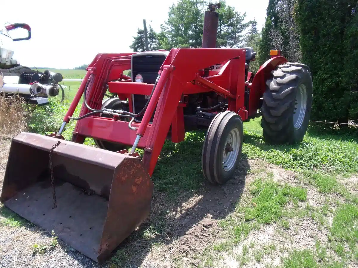 Gallery image 1 for Massey Ferguson 245 Tractor Loader