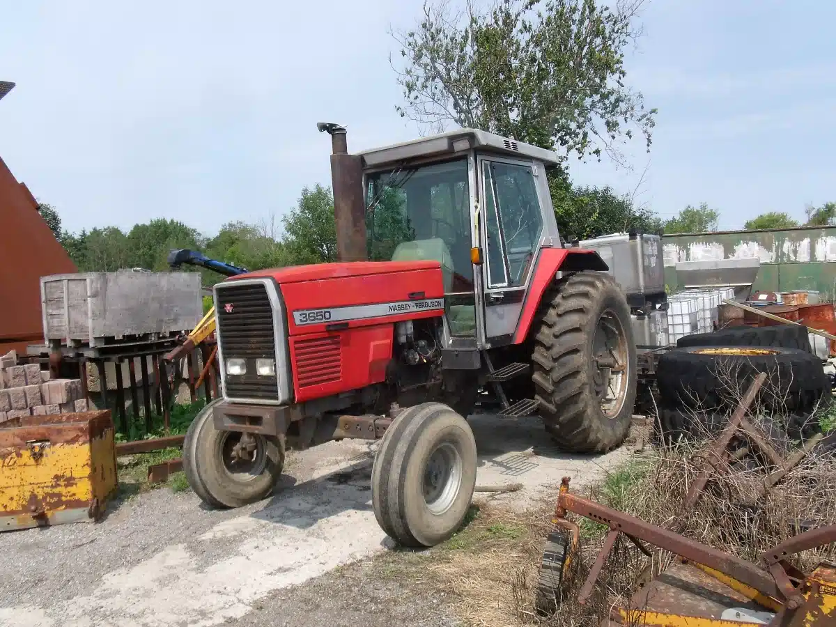 Gallery image 1 for Massey Ferguson 3650 Tractor