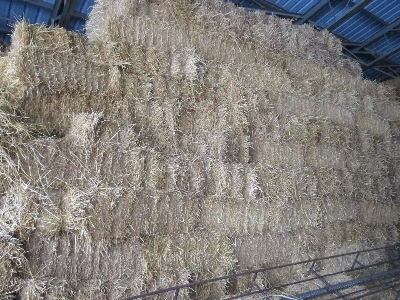 Gallery image 1 for Used Square Bales Square Baler - Small